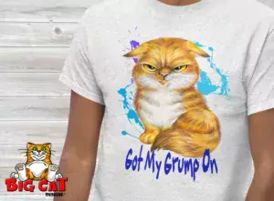 Ash Gray t-shirt showing a Orange Tabby Scottish Fold cat with a grumpy expression.